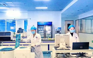 腾笼换鸟，庐阳老工业区蝶变高技术服务新高地