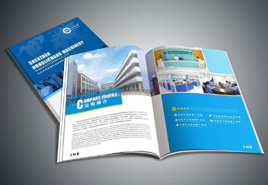 天娇广告公司 专业代理东莞画册设计与品牌Logo设计制作